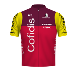 Team jersey COFIDIS